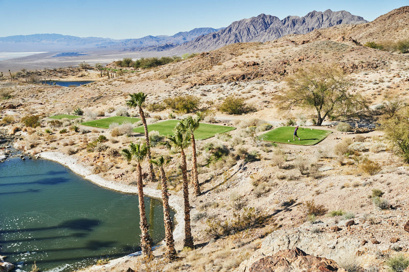 ELECTRIC GOLF TROLLEYS