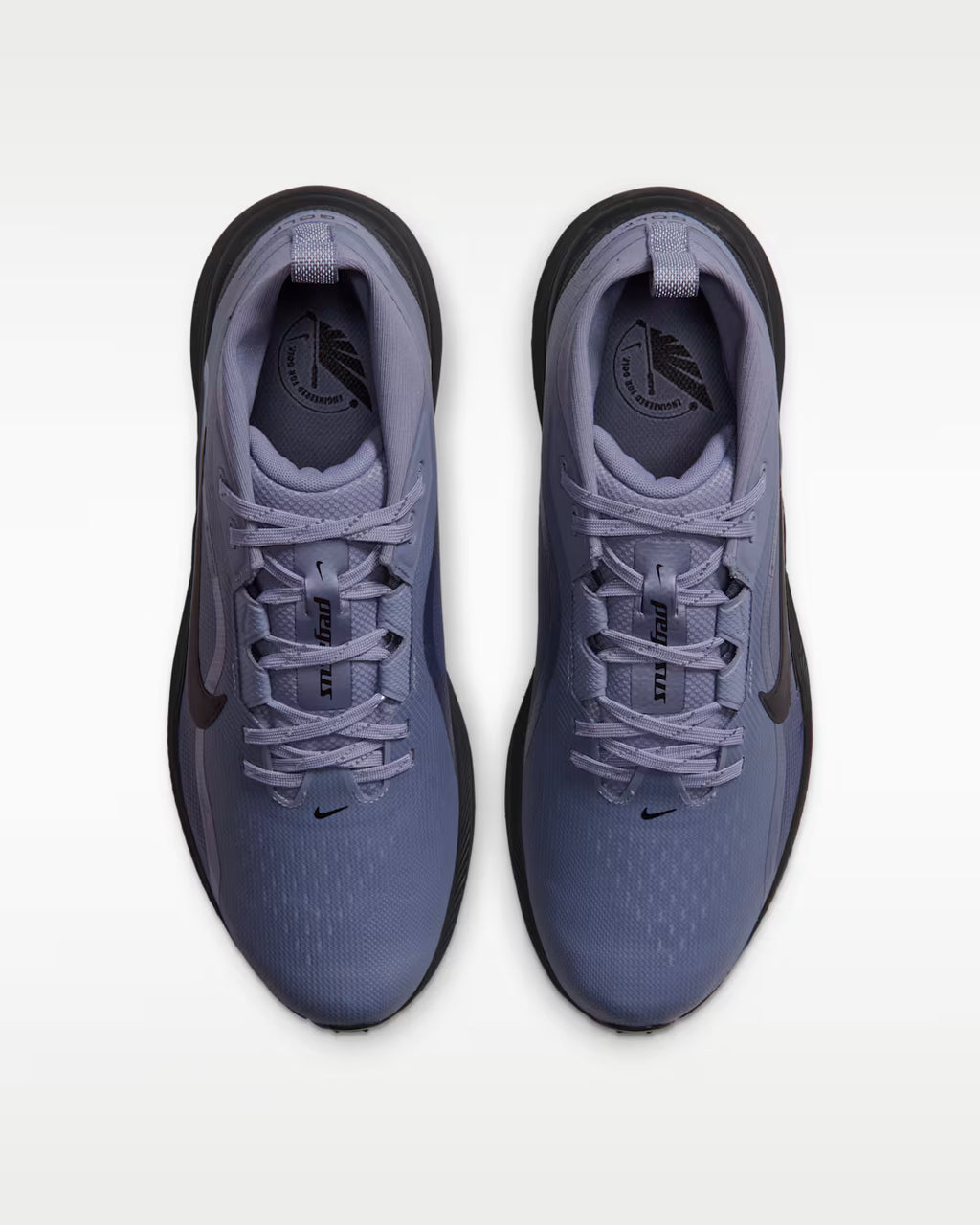 Pegasus 1 G GTX - Iron Purple/Black
