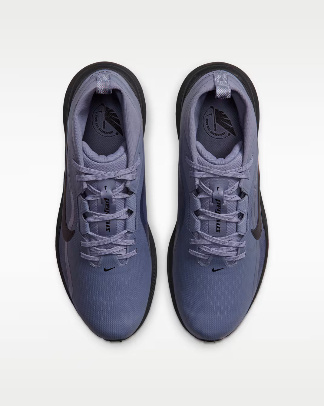 Pegasus 1 G GTX - Iron Purple/Black