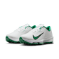 Air Zoom Infinity Tour NXT% 2 - White / Green