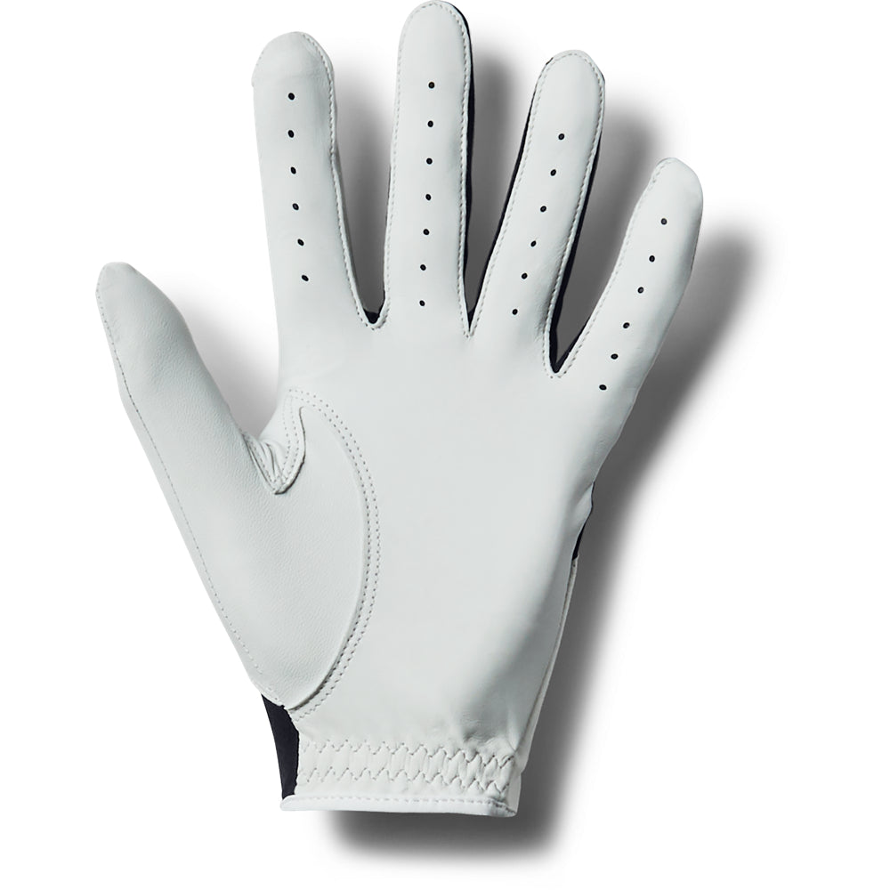 UA Iso-Chill Glove - Desirable Golf